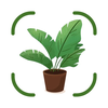 PicturePlant: Plant Identifier