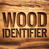 Wood Identifier AI