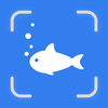 Fish Identifier By Picture: ID