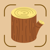Wood Identifier: Lumber AI