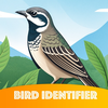 Bird Identifier - Byrdd