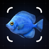 Fish Identifier: Photo Scanner