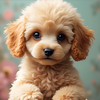 Puppy Aesthetic Wallpapers 4K