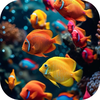 Aquarium Wallpaper - Fish Tank