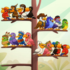 Sort Color Birds: Puzzle Match