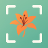 Flower Identifier: FloraAi