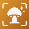 Mushroom Identifier: AI Scan