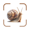 Snail Identifer: AI Scanner