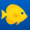 Reef ID: Fish & Coral ID