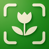 FloraFind Plant identifier