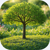Family Trees Builder Pro