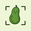 Pickle: Pregnancy Food Scanner