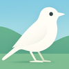 Bird identifier - Birding AI