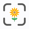 FlowerUP: Flower Identifier