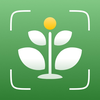 AI Plant Identifier: ID & Care