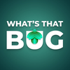 What's That Bug?