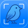 Bird Identifier: BirdLens
