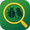 Bug Identifier & Identify Bugs
