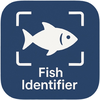 Fısh Identifier & Fish Verify