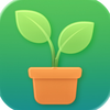 Leafify: Plant Identifier