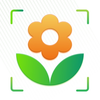 AI Plant: Plant Identifier