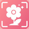 Flower Identifier: AI Scan