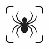 Spider Identifier