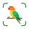 BirdAiSnap-Bird Identify