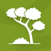 Tree Identifier: Flora Scanner