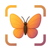 Bug Identifier - Buzzby