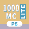 1000 MCQs for P6 Maths (LITE)