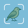 Bird Call Identification - BT