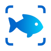 Fish Identifier - Fish Verify