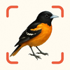 Bird Identifier AI – Birdpicx