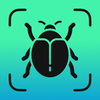 Insect Identifier - Insectium