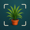 AI Plant Identifier: Plant ID