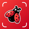 Insect Bug Identifier & Finder
