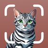 Cat Breed Identifier: Scan Pet