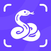 Snake Identifier & Reptile ID