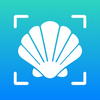 Sea Shell Identifier - AI ID
