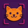 Cat Breed Identifier AI