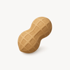 Peanote - AI Voice Notes