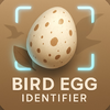 Bird Egg Identifier: AI Scan