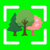 Tree Identifier - Treefy
