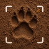 Animal Track Identifier
