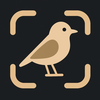 Bird Identifier BirdSnap