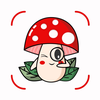 Mushroom Identification: AI ID