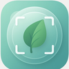 PlantScan - Leaf identifier