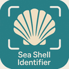 Sea Shell Identifier – AI Scan