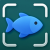 Fish Identifier: FyshID AI